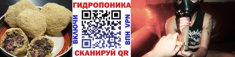 Купить закладки Павловская Еда ТГК марихуана