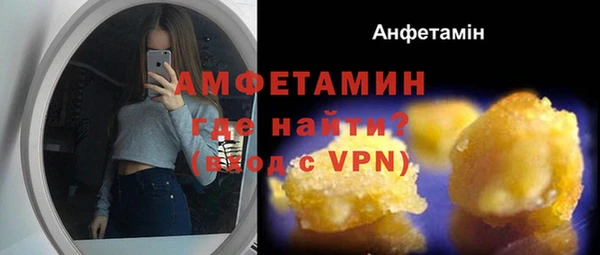 ПСИЛОЦИБИНОВЫЕ ГРИБЫ Богданович