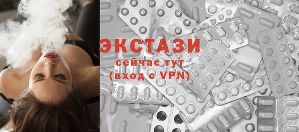 крисы Богородицк